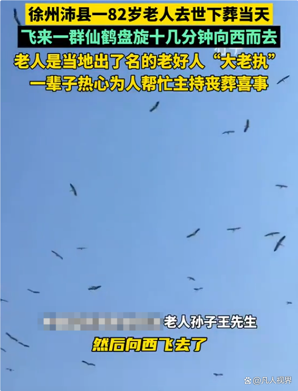 <strong>老人去世下葬当天飞来一群仙鹤</strong>